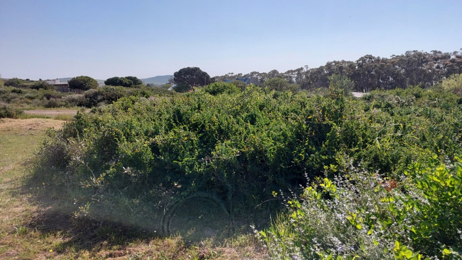 0 Bedroom Property for Sale in Darling Western Cape